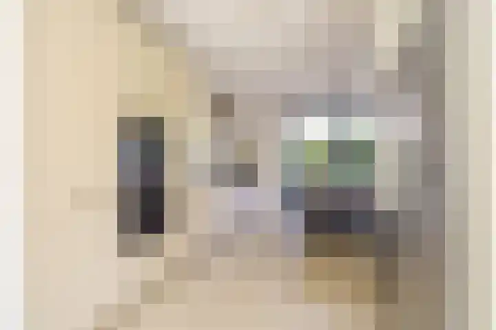 Vasco da Gamapad 12 Almere thumbnail 11
