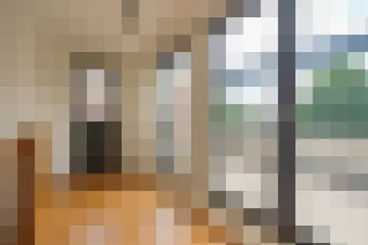 Vasco da Gamapad 12 Almere thumbnail 29