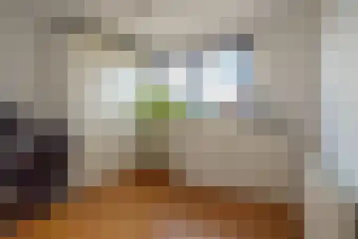 Vasco da Gamapad 12 Almere thumbnail 30