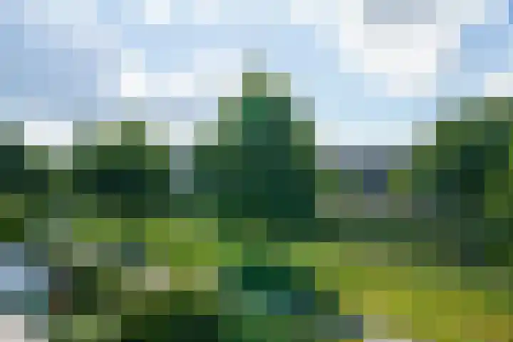 Vasco da Gamapad 12 Almere thumbnail 36