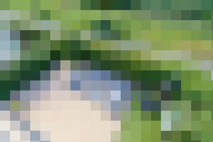 Vasco da Gamapad 12 Almere thumbnail 37