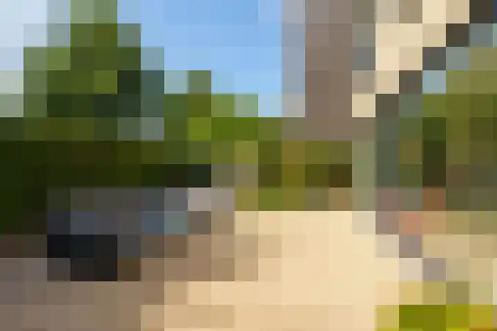 Vasco da Gamapad 12 Almere thumbnail 39