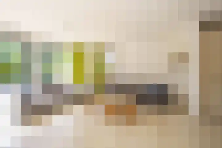 Vasco da Gamapad 12 Almere thumbnail 4