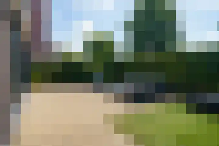 Vasco da Gamapad 12 Almere thumbnail 43