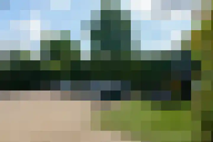 Vasco da Gamapad 12 Almere thumbnail 44