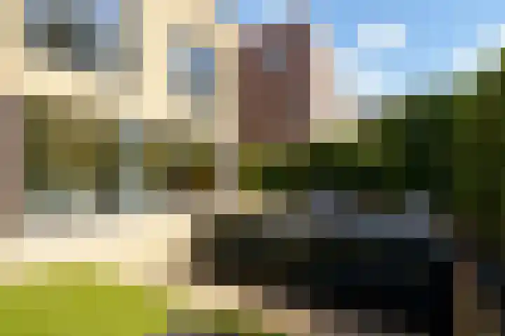 Vasco da Gamapad 12 Almere thumbnail 46