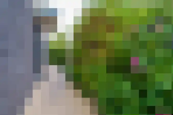 Vasco da Gamapad 12 Almere thumbnail 47