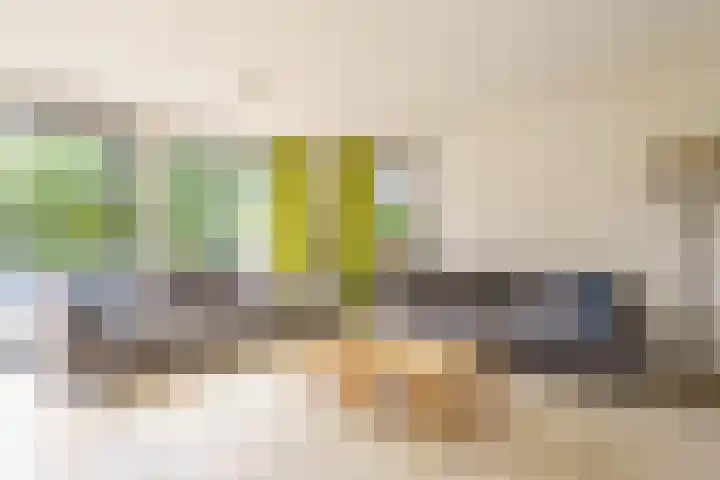 Vasco da Gamapad 12 Almere thumbnail 5