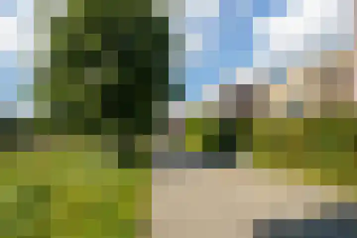 Vasco da Gamapad 12 Almere thumbnail 55