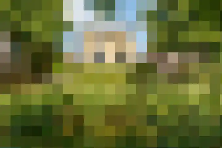 Vasco da Gamapad 12 Almere thumbnail 56