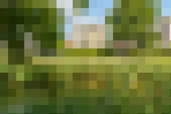 Vasco da Gamapad 12 Almere thumbnail 57