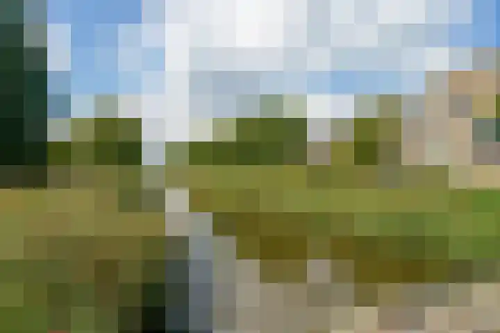 Vasco da Gamapad 12 Almere thumbnail 58