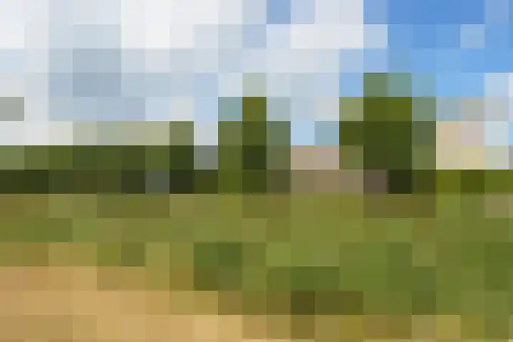 Vasco da Gamapad 12 Almere thumbnail 59