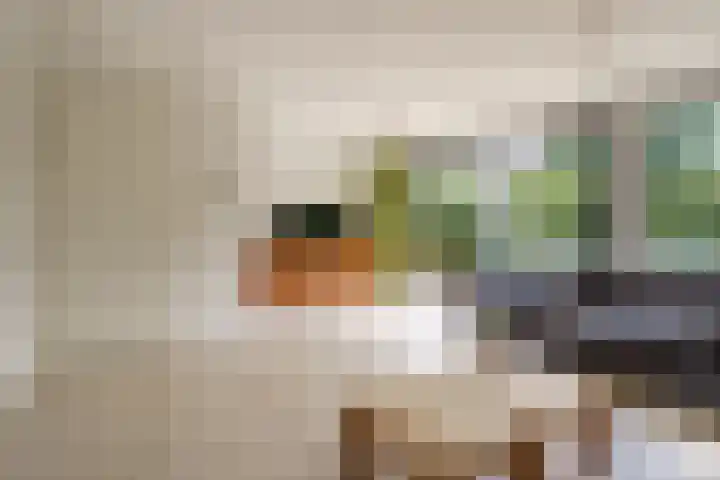 Vasco da Gamapad 12 Almere thumbnail 6