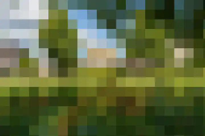Vasco da Gamapad 12 Almere thumbnail 60