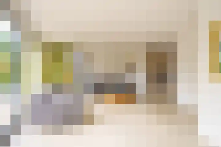 Vasco da Gamapad 12 Almere thumbnail 7