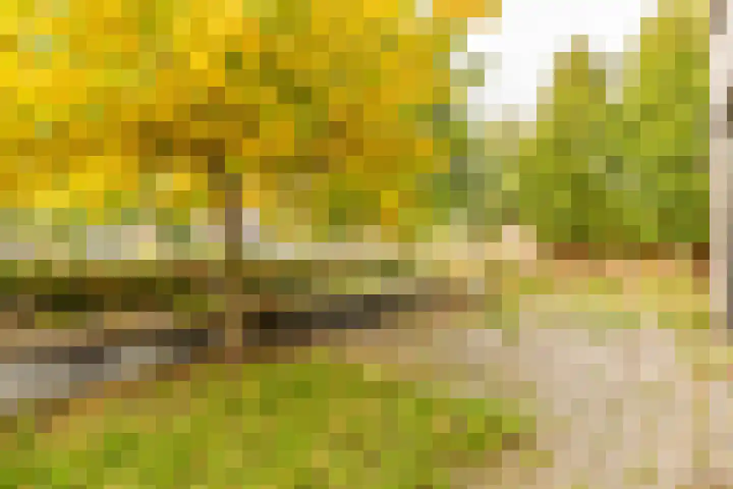 Vasco da Gamapad 13 Almere thumbnail 22