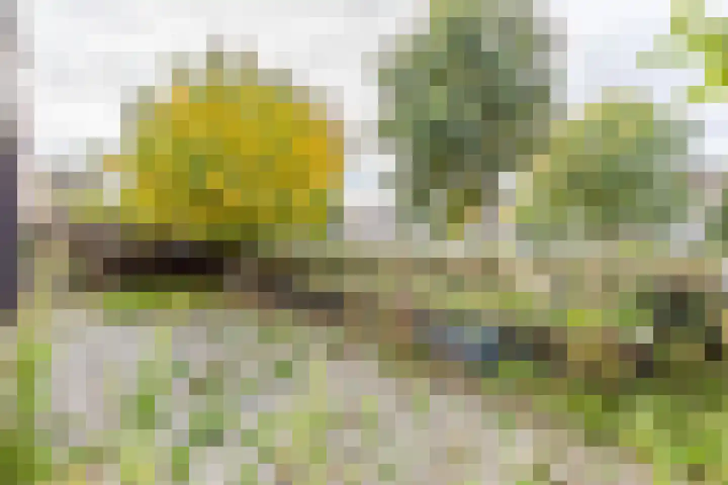 Vasco da Gamapad 13 Almere thumbnail 23