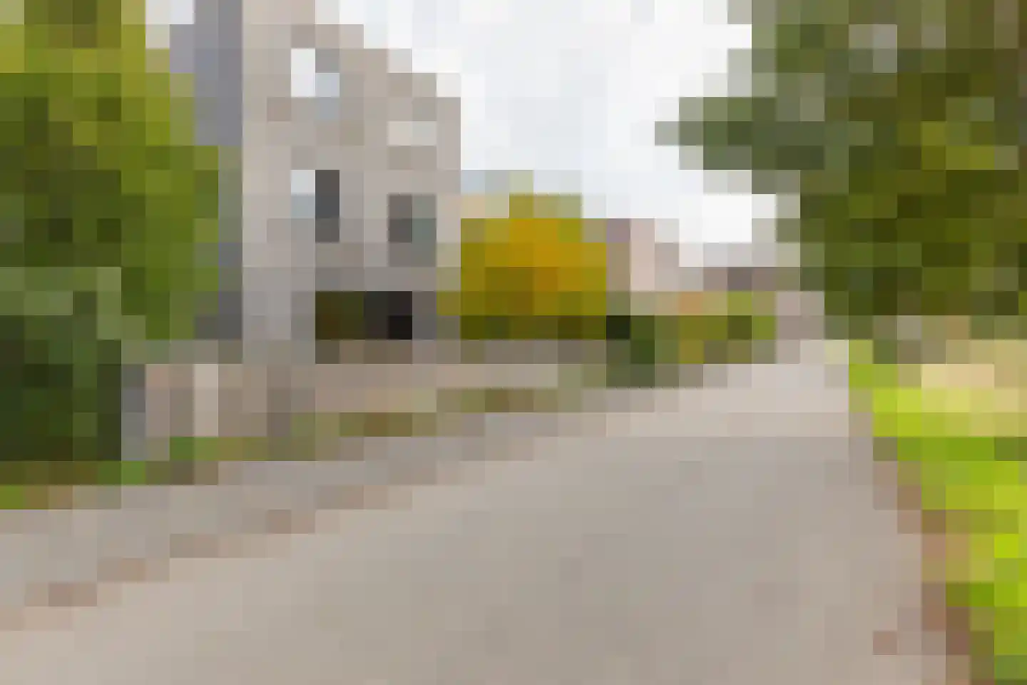 Vasco da Gamapad 13 Almere thumbnail 24