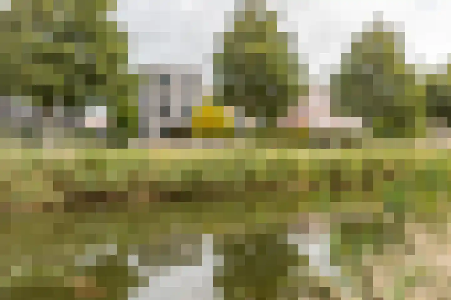 Vasco da Gamapad 13 Almere thumbnail 26