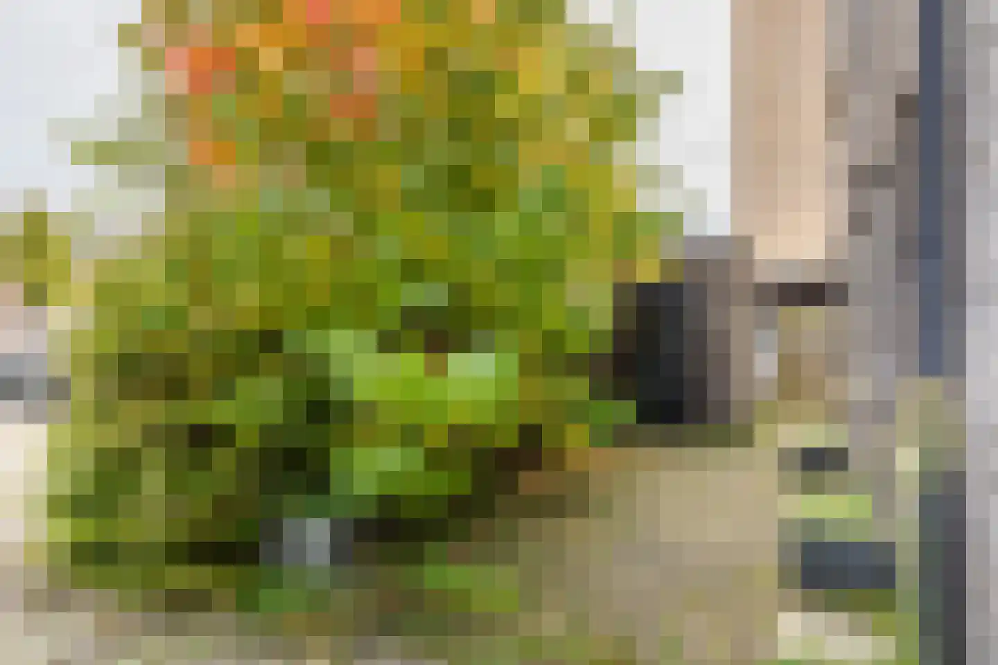 Vasco da Gamapad 13 Almere thumbnail 4