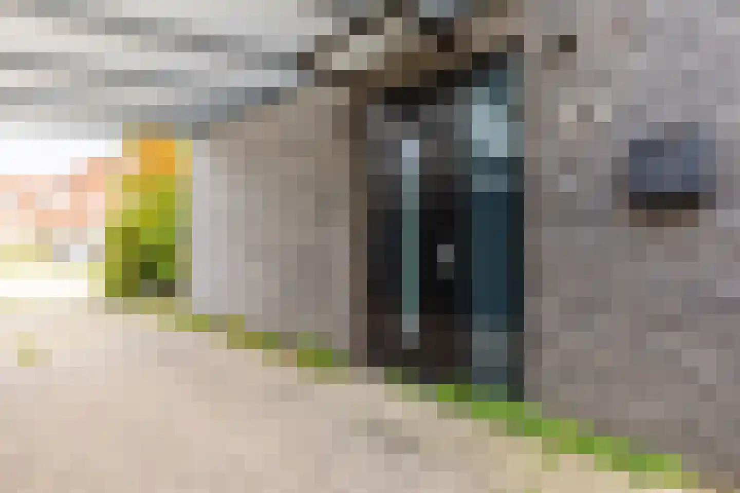 Vasco da Gamapad 13 Almere thumbnail 5