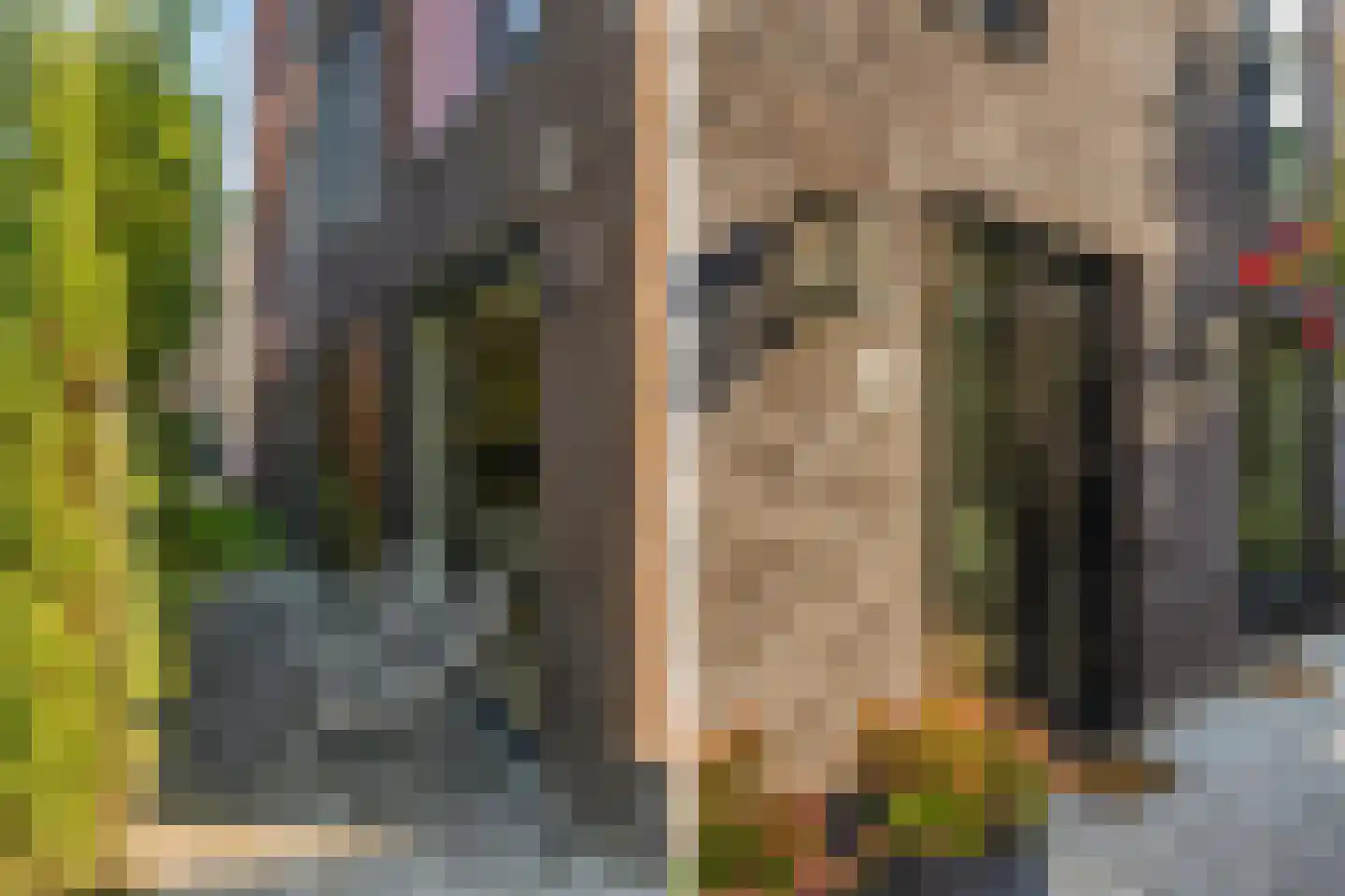 Vasco da Gamapad 17 Almere thumbnail 24