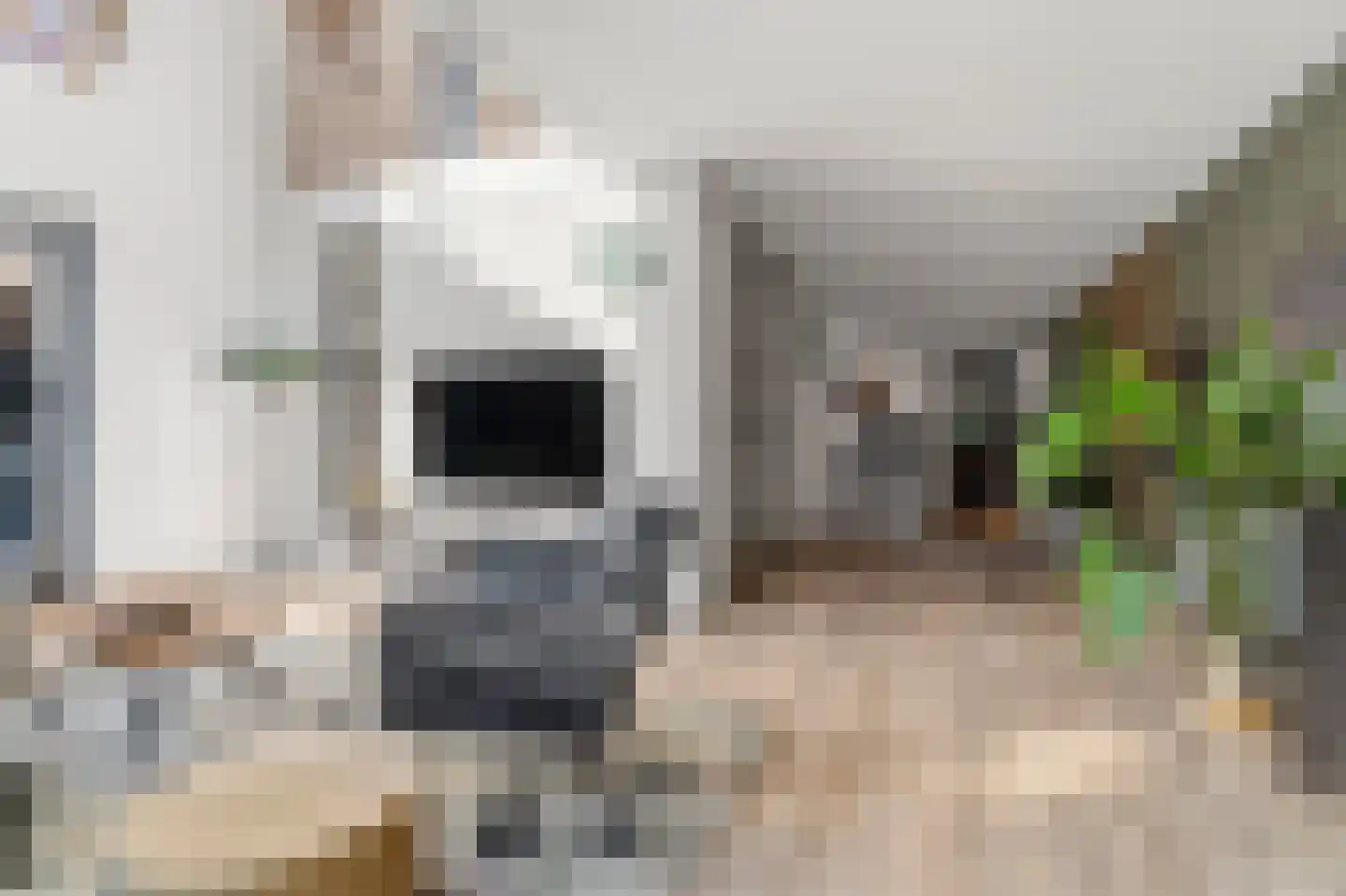 Vasco da Gamapad 17 Almere thumbnail 27