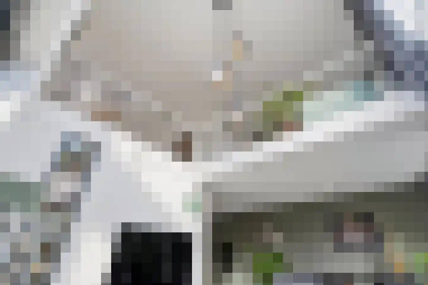 Vasco da Gamapad 17 Almere thumbnail 30
