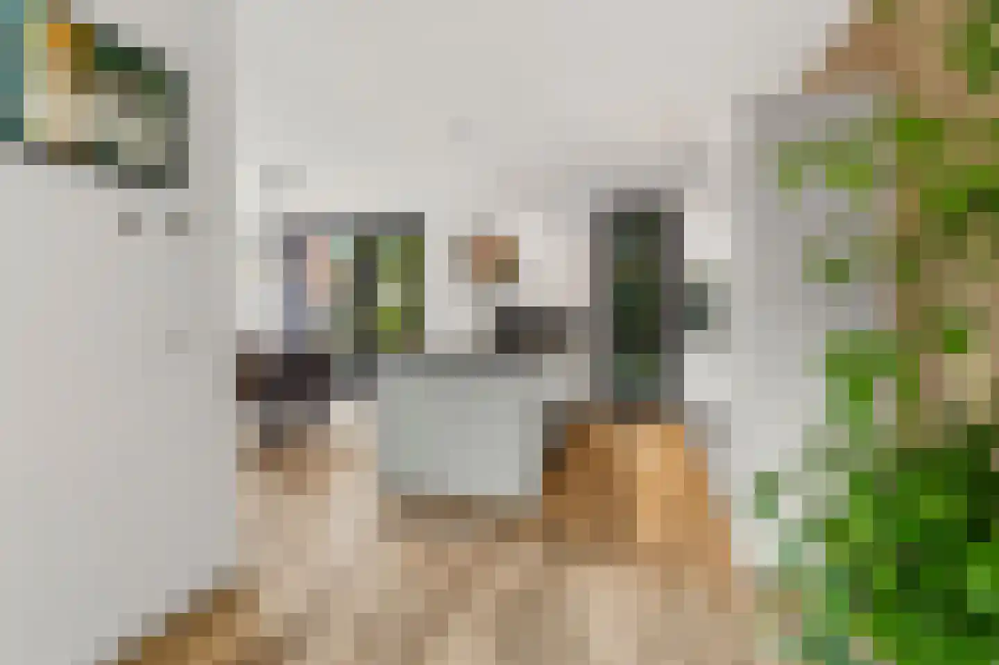 Vasco da Gamapad 17 Almere thumbnail 36