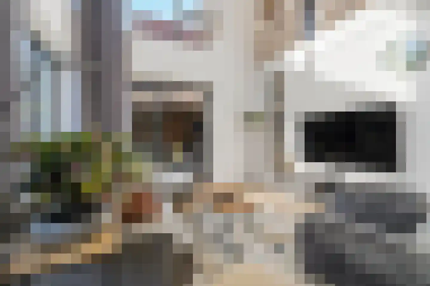 Vasco da Gamapad 17 Almere thumbnail 5