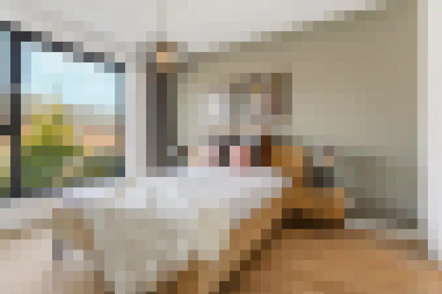 Vasco da Gamapad 17 Almere thumbnail 51