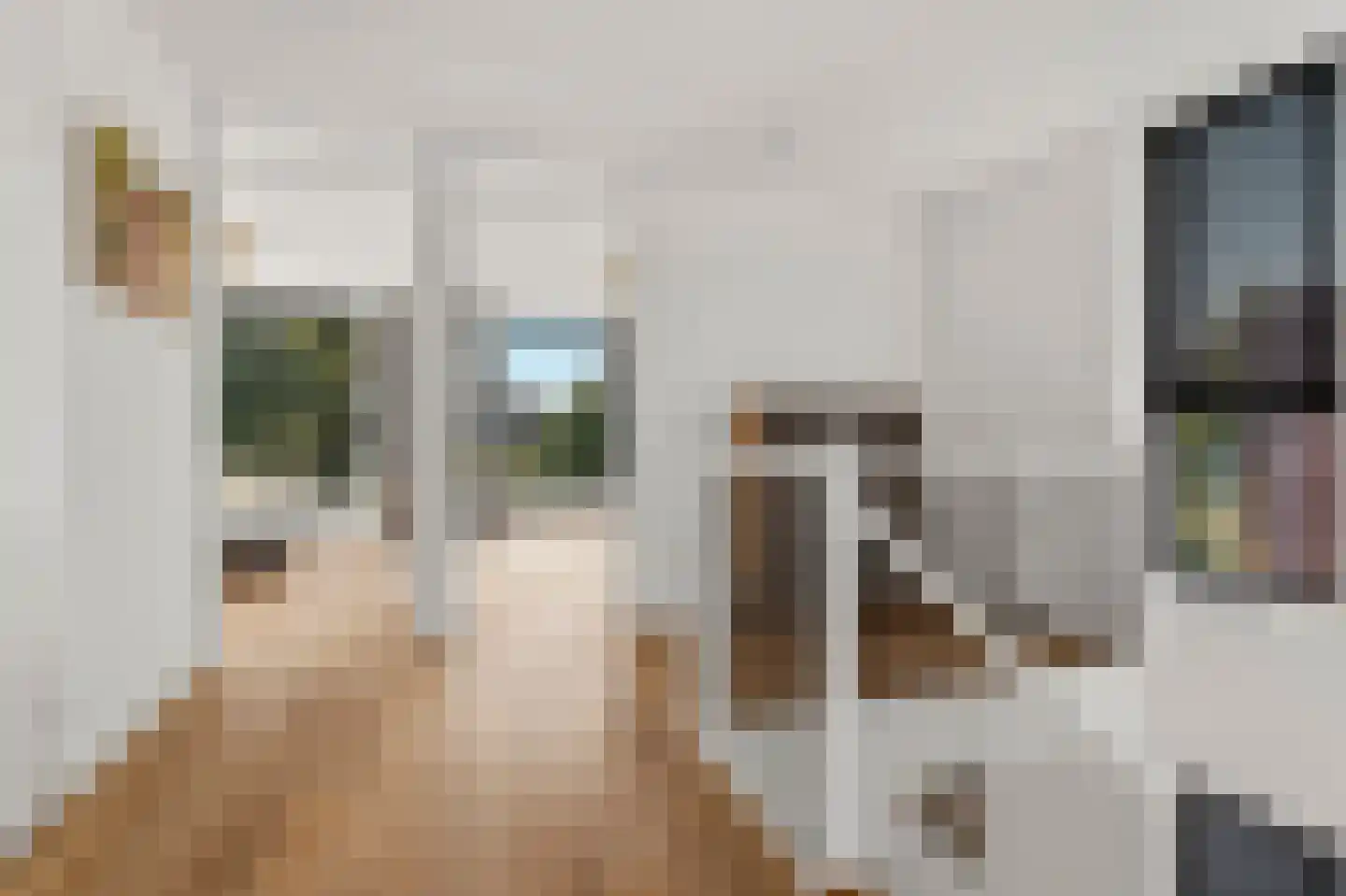 Vasco da Gamapad 17 Almere thumbnail 67