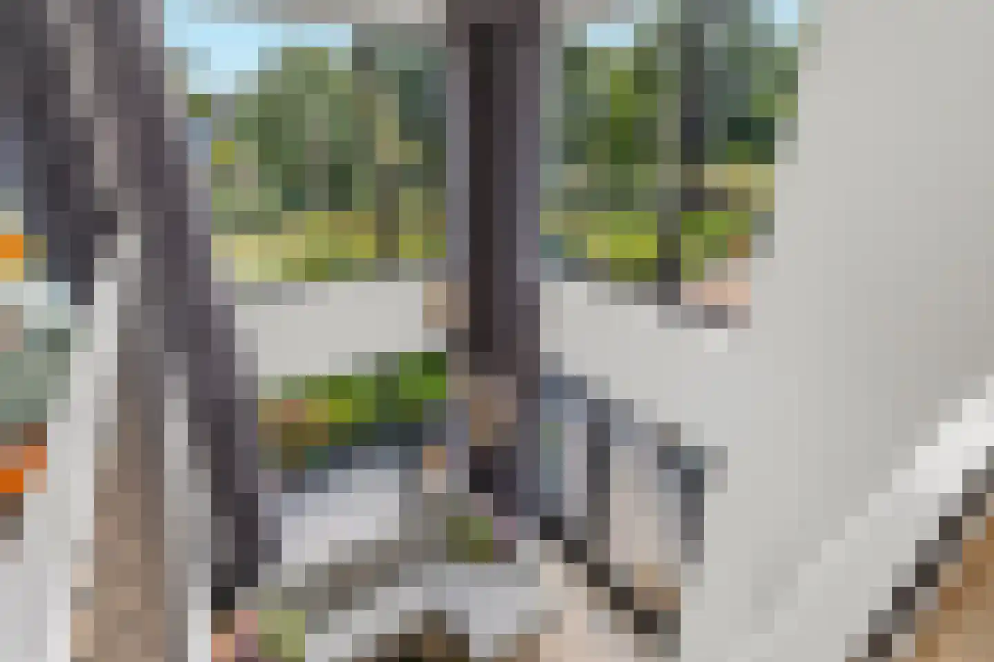 Vasco da Gamapad 17 Almere thumbnail 7