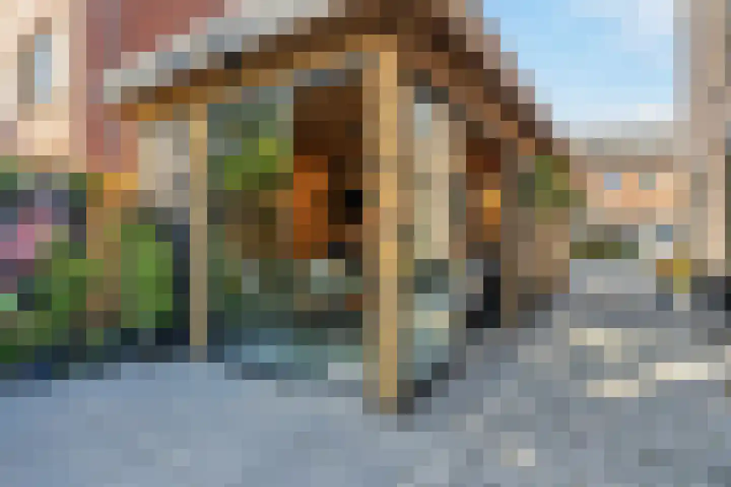 Vasco da Gamapad 17 Almere thumbnail 75