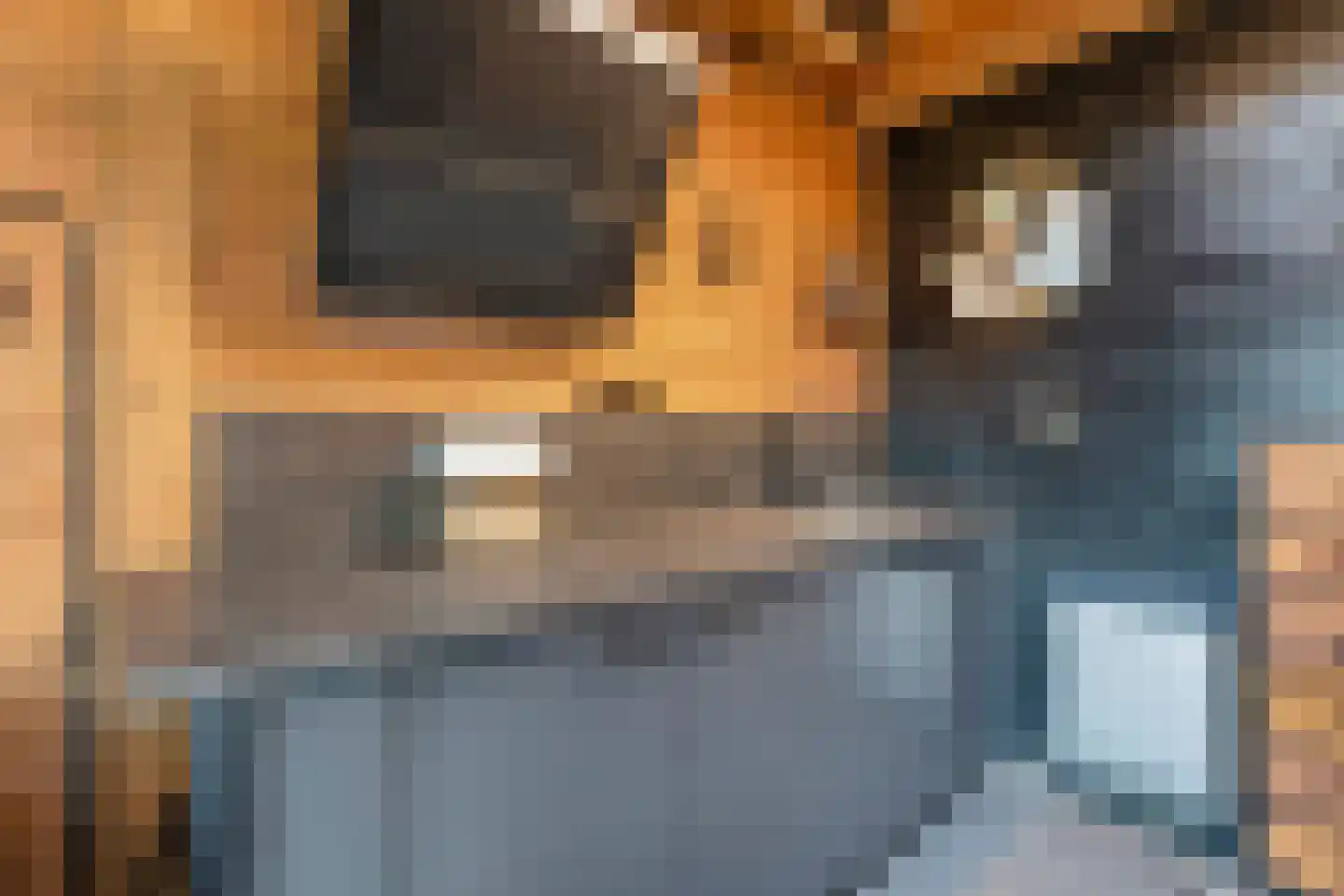 Vasco da Gamapad 17 Almere thumbnail 79