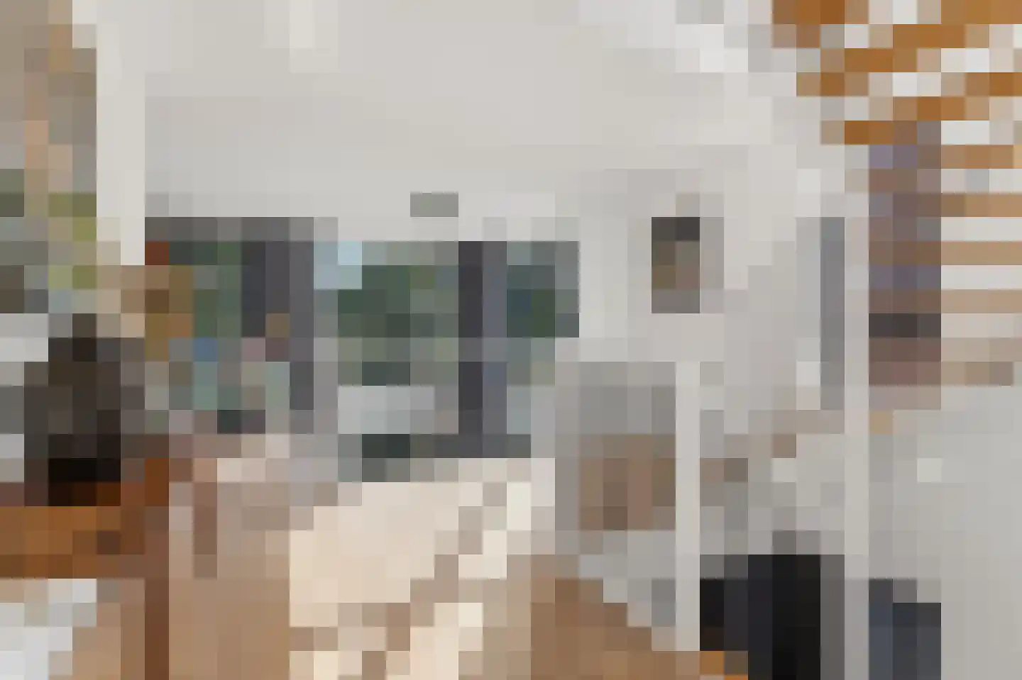 Vasco da Gamapad 17 Almere thumbnail 8