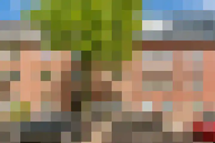 Vasco da Gamastraat 24 H Amsterdam thumbnail 23