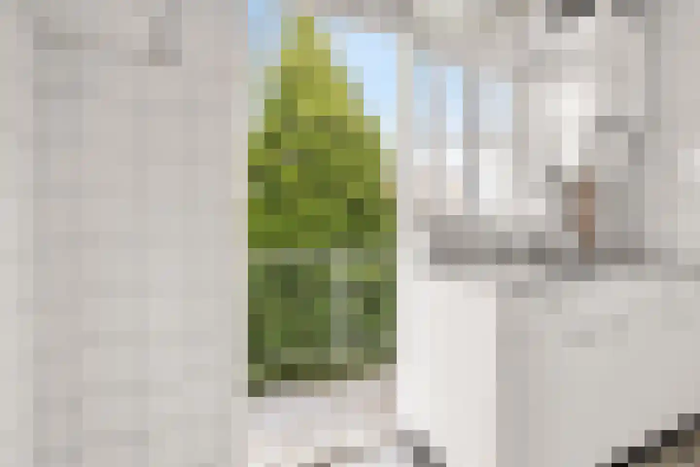 Vasco da Gamastraat 26 2 Amsterdam thumbnail 8