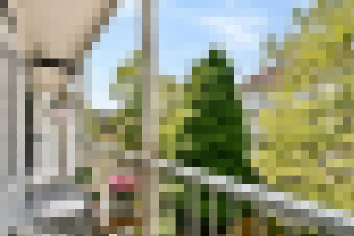 Vasco da Gamastraat 53 2 Amsterdam thumbnail 13