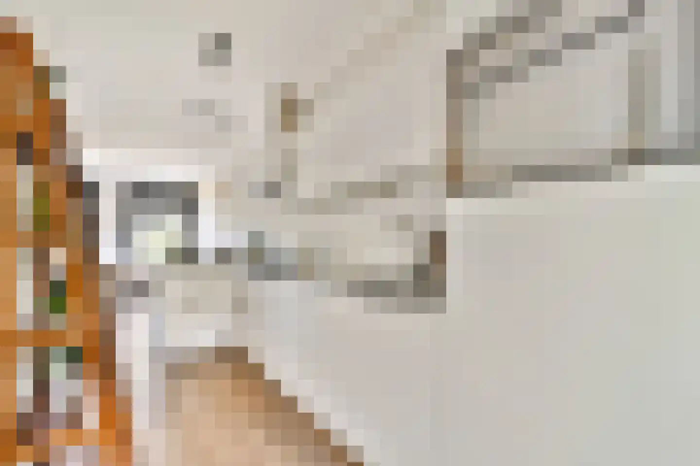 Vasco da Gamastraat 53 2 Amsterdam thumbnail 8