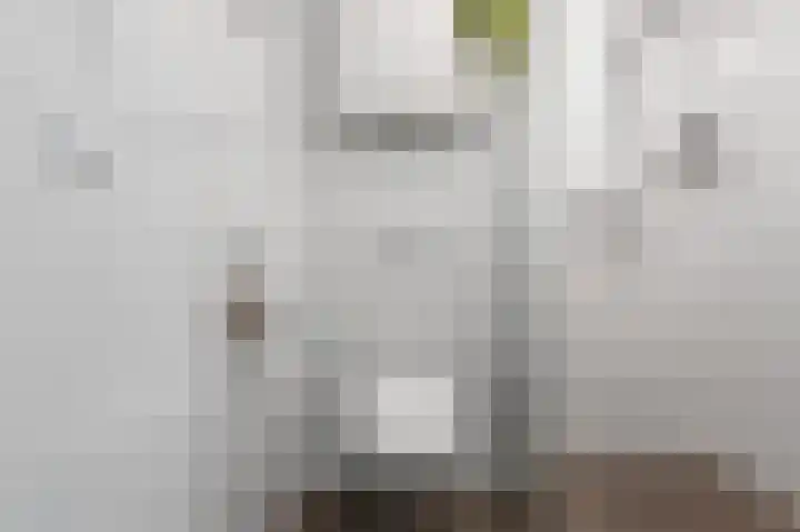 Vasco da Gamastraat 55 1 Amsterdam thumbnail 13