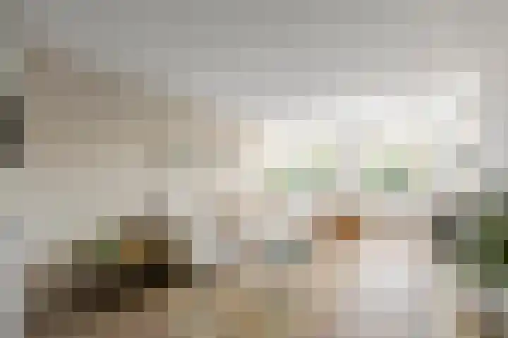 Vasco da Gamastraat 55 1 Amsterdam thumbnail 4