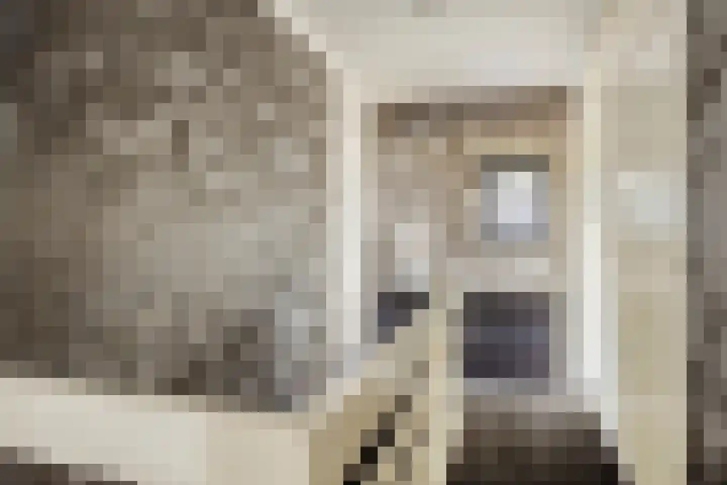 Vassebrink 4 Enschede thumbnail 17