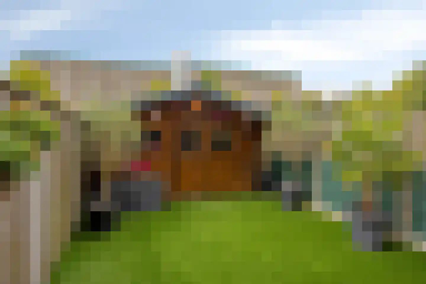 Vassebrink 4 Enschede thumbnail 24