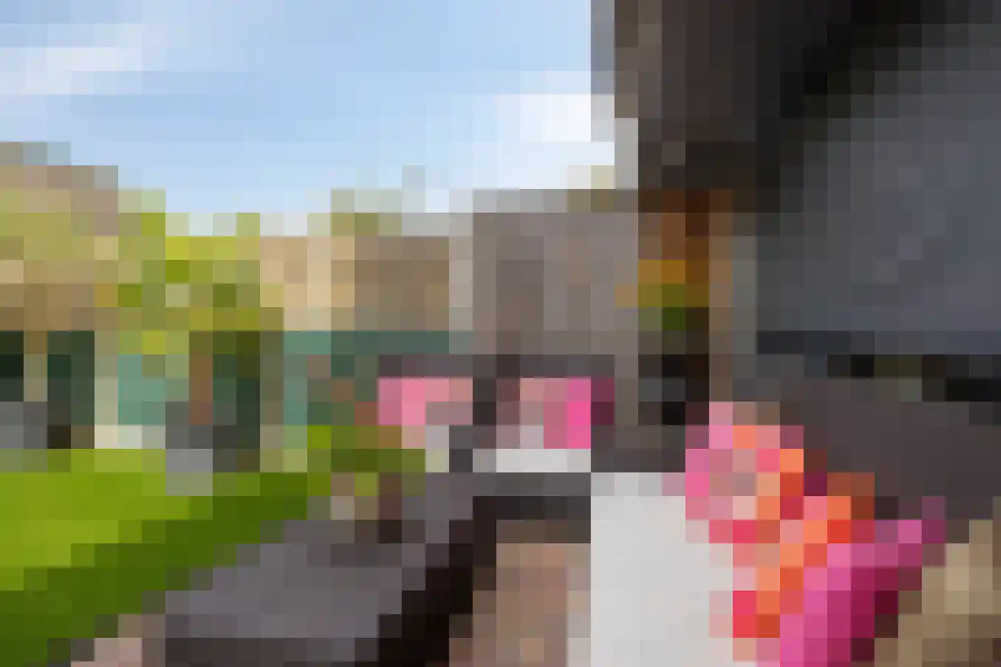 Vassebrink 4 Enschede thumbnail 25