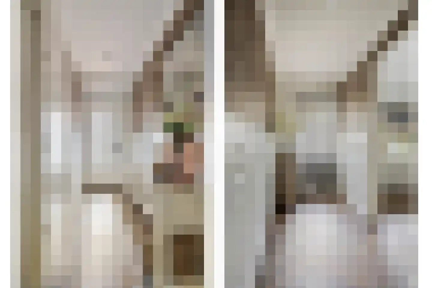Vassebrink 4 Enschede thumbnail 7