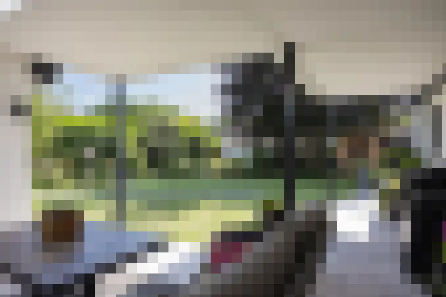 Vasserweg 3 Ootmarsum thumbnail 33