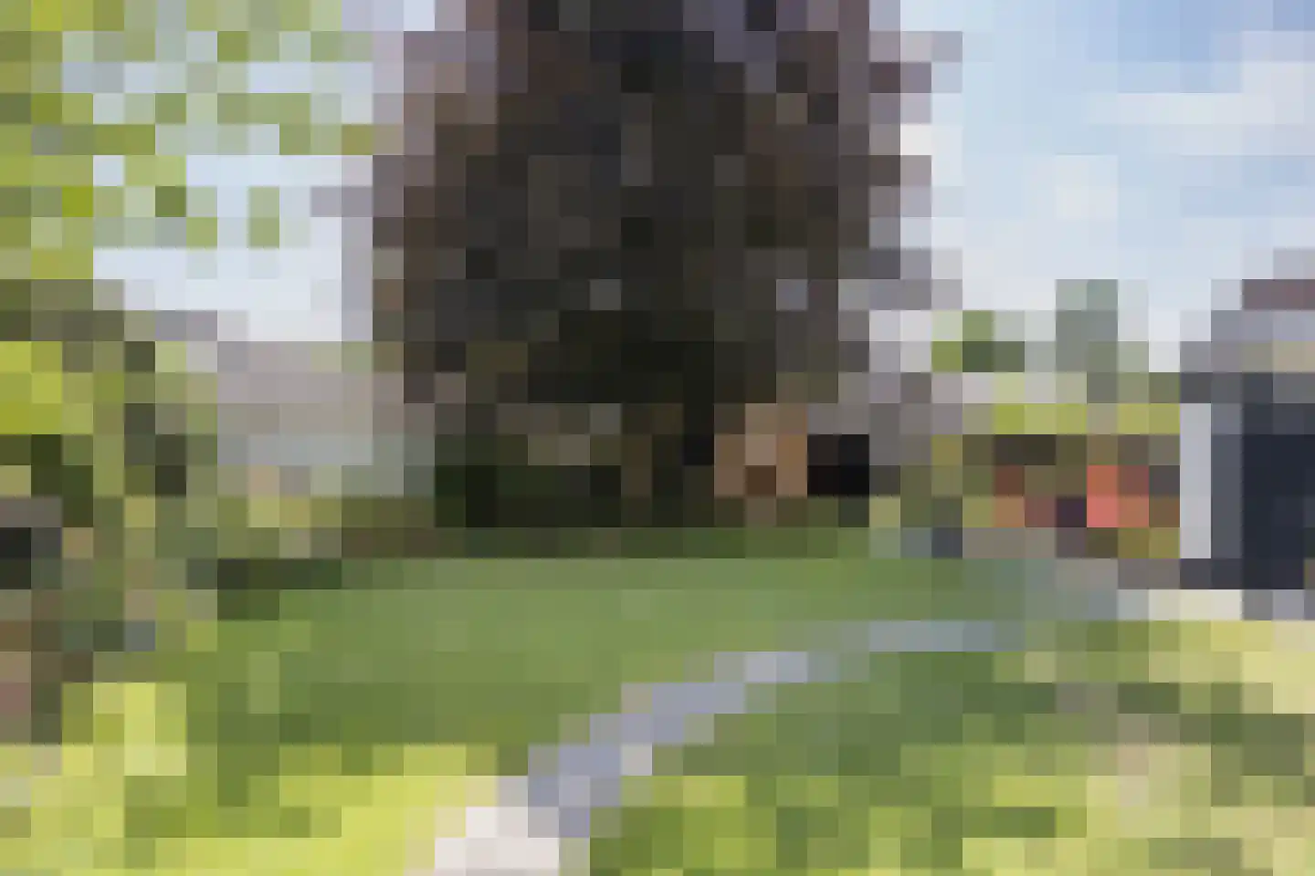 Vasserweg 3 Ootmarsum thumbnail 36