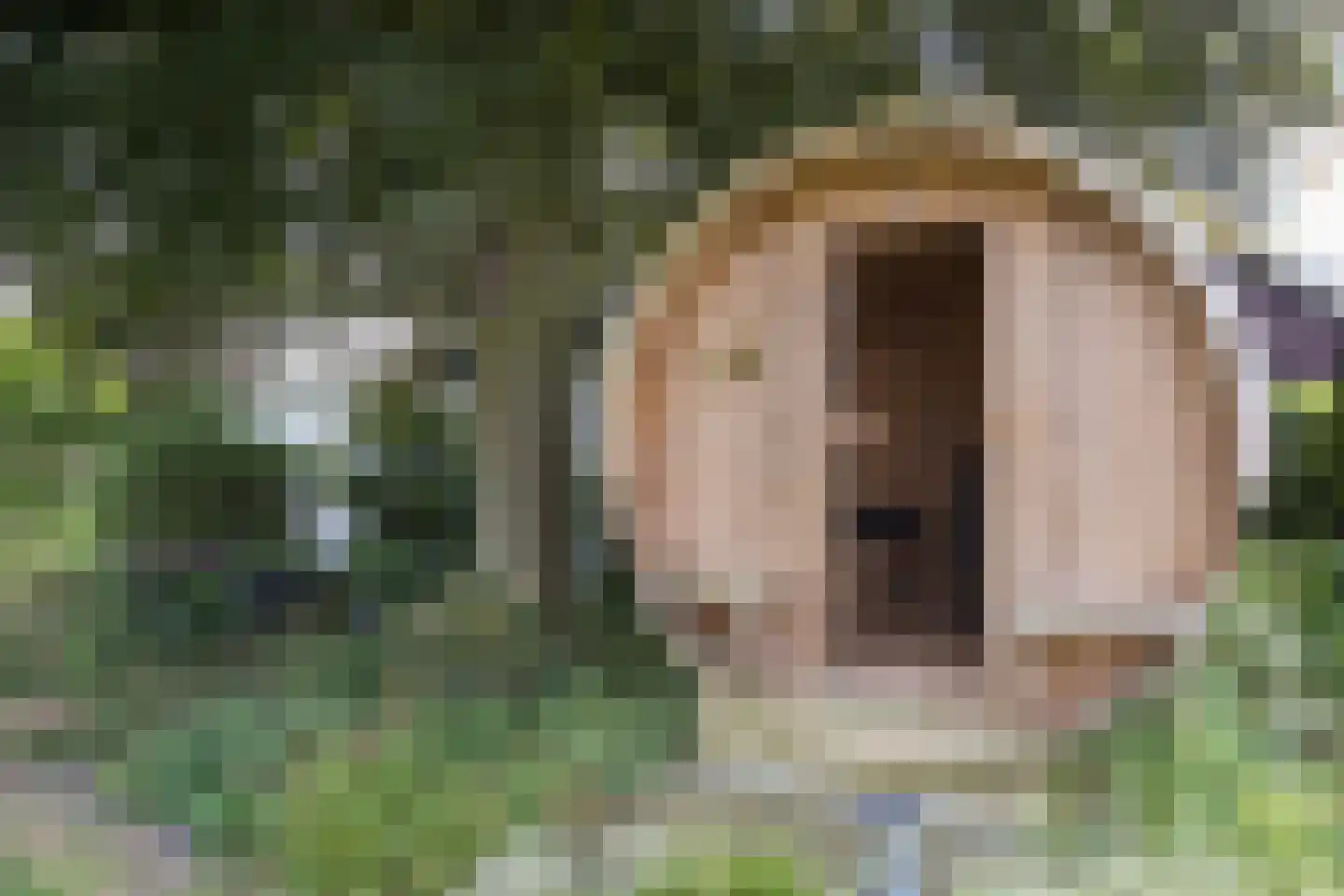 Vasserweg 3 Ootmarsum thumbnail 38